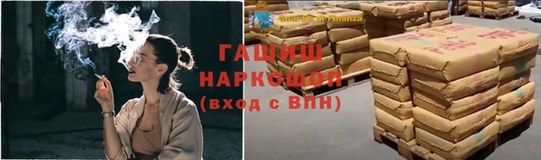 гидра Богородицк