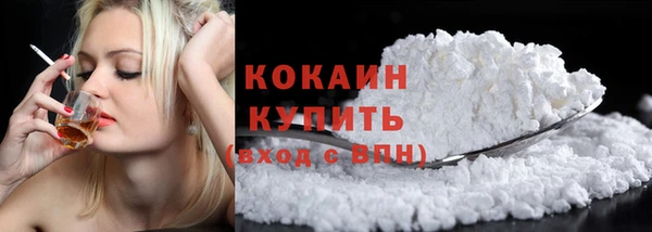 гидра Богородицк