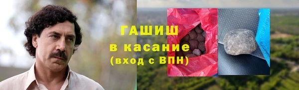 гидра Богородицк