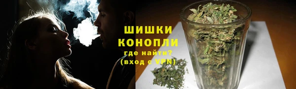 гидра Богородицк