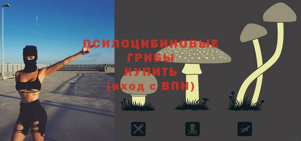 гидра Богородицк