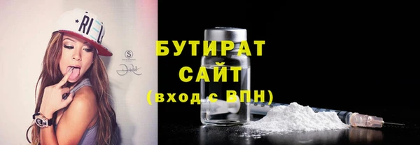 гидра Богородицк