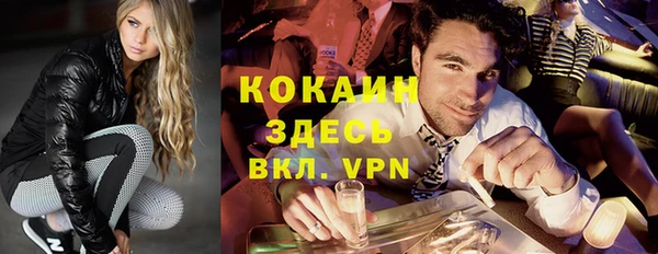 гидра Богородицк