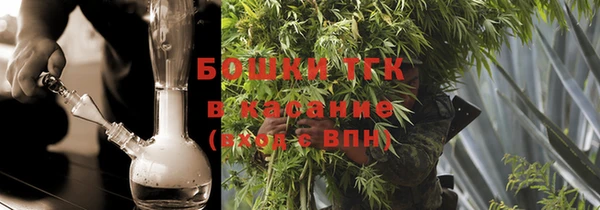 гидра Богородицк